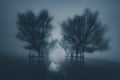 Dark scary landscape with path surrounding by trees and fog Royalty Free Stock Photo