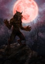 Scary werewolf with full moon - digital illustration