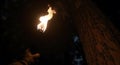Dark scene of burning torch, trees and a hand reaching out Royalty Free Stock Photo