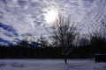 Dark winter silhouette scenic vision Royalty Free Stock Photo
