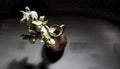 Dark Winterroses in golden Vase Royalty Free Stock Photo