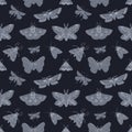 Dark seamless hand drawn pattern white ink moth Royalty Free Stock Photo