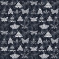 Dark seamless hand drawn pattern white ink moth Royalty Free Stock Photo