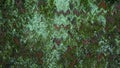 Dark Shades Of Green Abstract Background Royalty Free Stock Photo