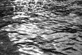 Dark shimmering water ripples of the lake Royalty Free Stock Photo