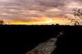 Dark silhouette of a heather landscape with a walking road at sunset, colorful effect in the sky and clouds Royalty Free Stock Photo