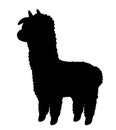 Dark silhouette of lama Royalty Free Stock Photo