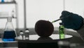 Dark silhouette of a male scientist with a syringe. A researcher injects pesticides and nitrates into a red apple with a