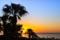 Dark silhouette of palm trees on a background of sunrise. Sunset over the ocean through a tropical silhouette. Sea view