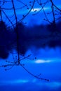 Dark silhouette of tree branches with swollen buds on the river background and reflecting the forest there. Early spring Royalty Free Stock Photo
