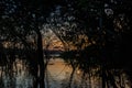 Dark scene of forest silhouette in the Amazon Rainforest with the Amazon River in the State of Amazonas, Brazil, South America