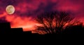 Dark silhouette of a village with a tree, blood red clouds and a moon in the darkness, halloween background