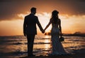 The bride and groom on the background of the sunset Royalty Free Stock Photo