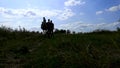 Video of people in the shadow walking on a horse. The concept of family camping, horseback riding and hippotherapy. Dark silhouett