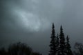 Silhouettes of trees through the rain and dark gray clouds Royalty Free Stock Photo