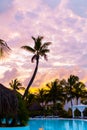 Blue pink and red sunset over sea beach with palmtree silhouette Royalty Free Stock Photo