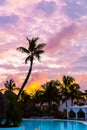 Blue pink and red sunset over sea beach with palmtree silhouette Royalty Free Stock Photo