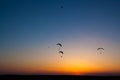 A large group of paramotors for powered paragliding flies in the sky Royalty Free Stock Photo