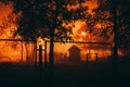 Dark silhouettes of trees and a fence Royalty Free Stock Photo