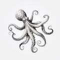Dark Silver Octopus Drawing: Ominous Vibe, Precise Realism, Tattoo-inspired Art