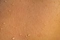 Dark skin of woman macro. Human skin texture background with drops. Wet skin close-up.