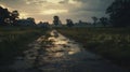 Muddy Path In Front Of Farmhouse: Rainy Scenery With Evening Glow
