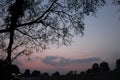 Dark sky with dark tree for wallpaper