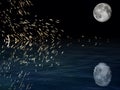 Dark sky with full moon and fireworks in sea reflection Royalty Free Stock Photo