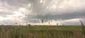 Dark sky over meadow Royalty Free Stock Photo