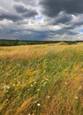 Dark sky over meadow Royalty Free Stock Photo