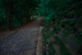 Dark soft focus forest passage lonely foot path between abandoned ancient stone wall and trees alley twilight dusk lighting Royalty Free Stock Photo