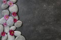 Dark Spa background with pebbles and flowers Royalty Free Stock Photo