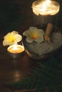 Dark spa set with burning candles of plumeria flowers white and green fern Royalty Free Stock Photo