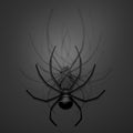 Dark spider