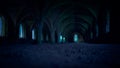 A dark and spooky background of arches in the dungeon of an old monastery Royalty Free Stock Photo