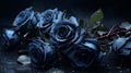 Dark And Spooky: Blue Roses On Wet Concrete