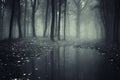 Dark spooky forest with mysterious fog and lake Royalty Free Stock Photo