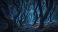 Dark spooky woods at night, path in scary fairy tale forest, landscape with dry trees. Theme of fantasy, haunted nature, Halloween Royalty Free Stock Photo