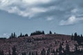 Dark spruce forest under a cloudy sky