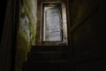 Dark stairs with old and white door leading down to dark basement Royalty Free Stock Photo