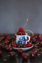 Dark stillife with porcelain cup of fresh cherries