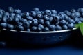 A dark stone backdrop highlights a bowl of fresh, organic blueberries