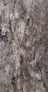 Dark stone background natural texture Royalty Free Stock Photo