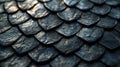 Dark Stone Scales Texture Background Image Royalty Free Stock Photo