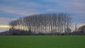 Dark storm clouds over marshland with trees in the flemish countryside Royalty Free Stock Photo