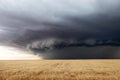 Dark storm clouds over a wheat field Royalty Free Stock Photo
