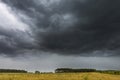 Dark stormy clouds over corn field at summer