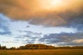 Dark stormy clouds over wheat field Royalty Free Stock Photo