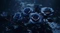 Gothic Dark Blue Roses In Moody Tones With Rainwater