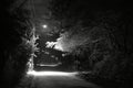 dark street with dirt road illuminated by light